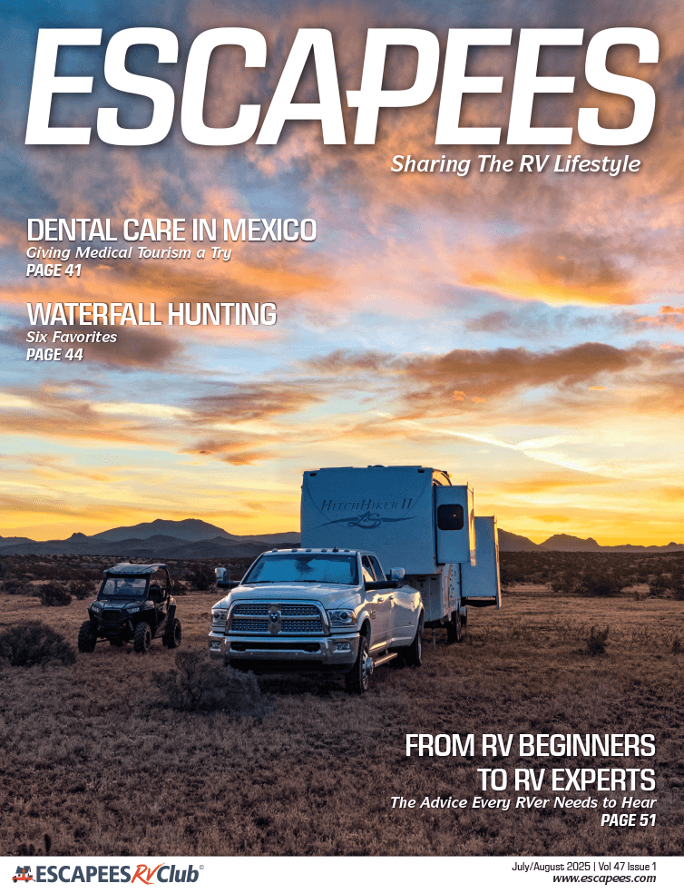 magazine-1-300x264.png