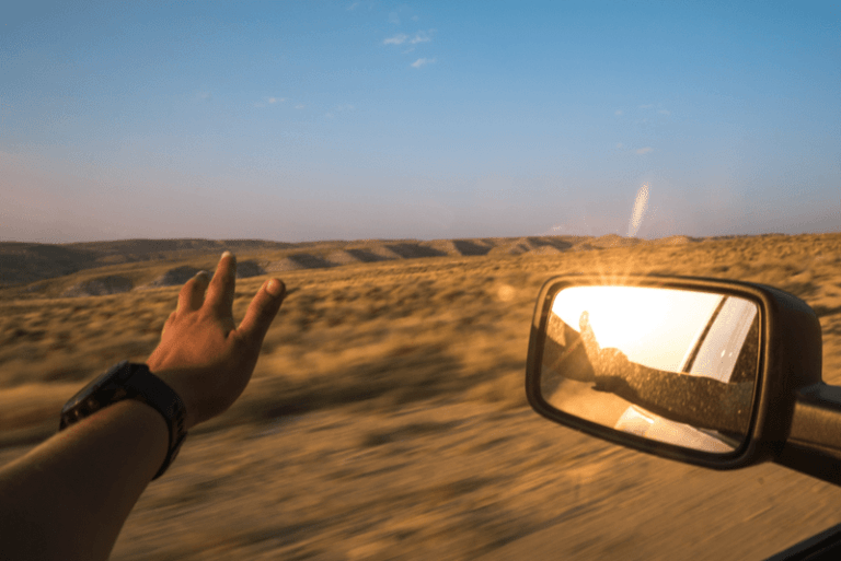 Picture4-768x513.png