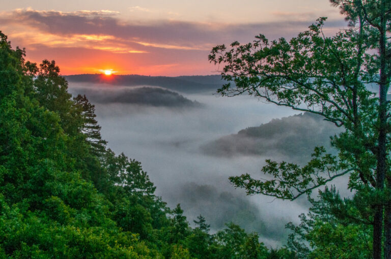RVing in Arkansas