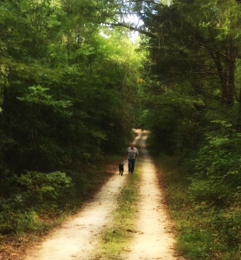 walkingthewoods-768x826.jpg