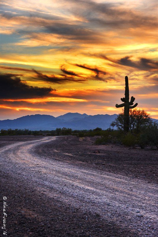 quartzsite4.jpg