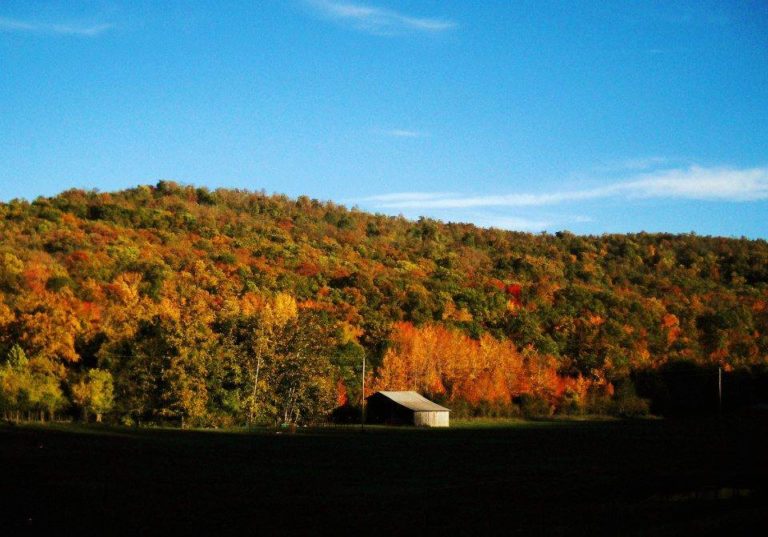 ozarksfall-768x537.jpg