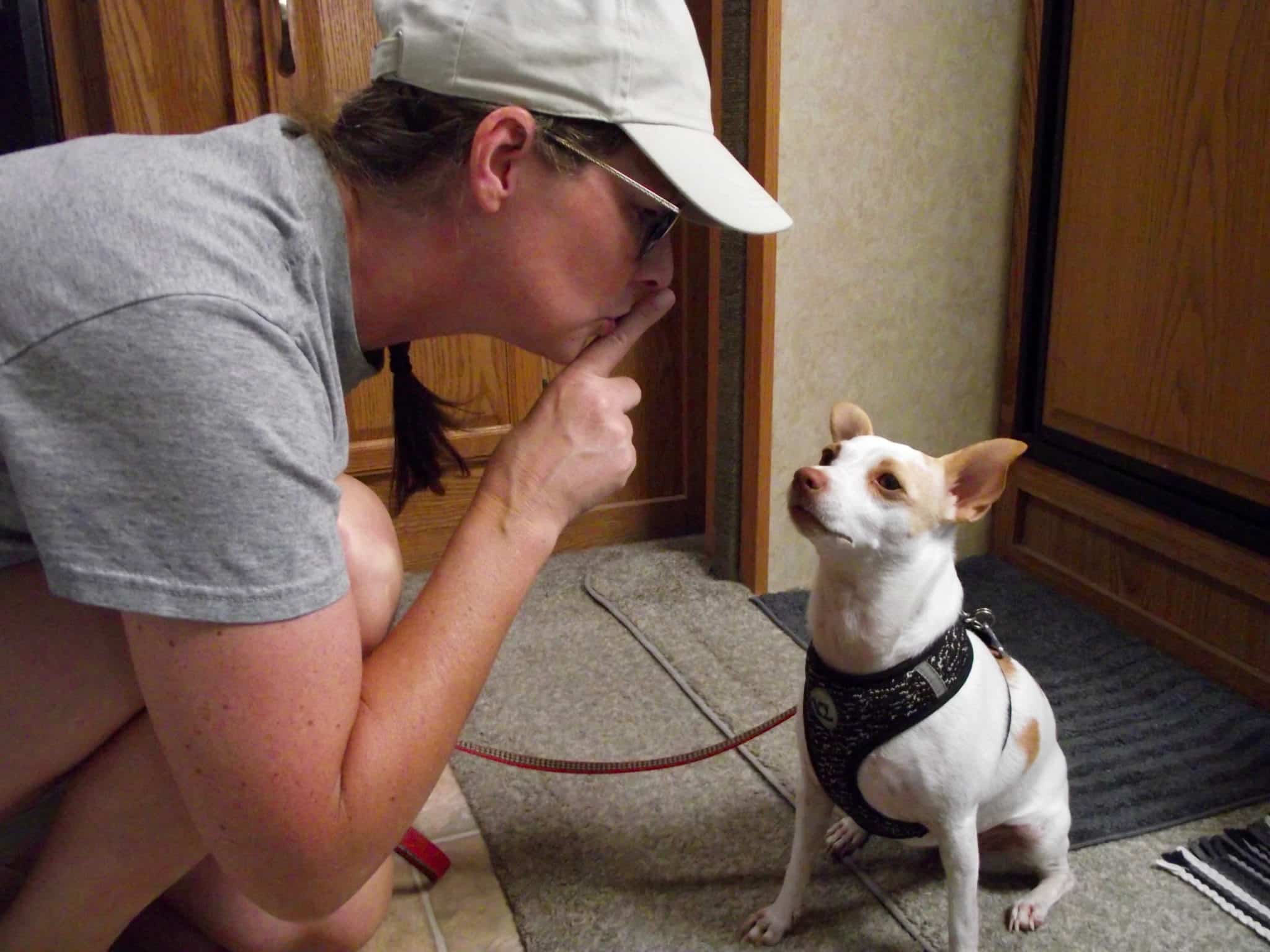Stop Barking! How to Train Your Dog to be a Good RV Neighbor