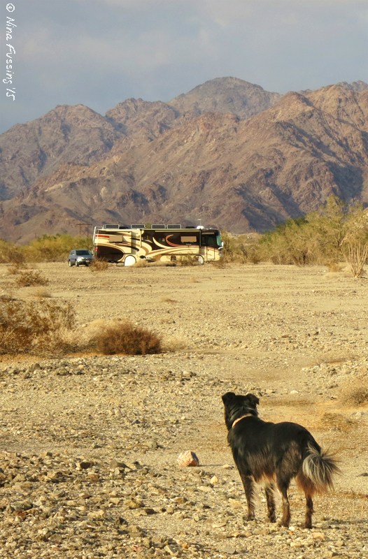 yuma1.jpg