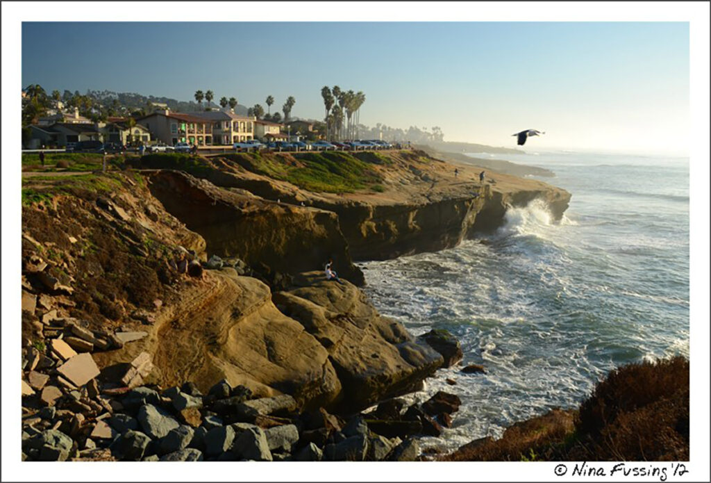 Nina-Fussing-San-Diego-1024x695.jpg